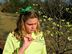 Saint Patrick's Day 